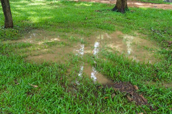 Cost of Storm Water Drainage Service in Holland