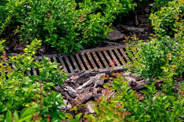 Underground Drainage Service in Holland