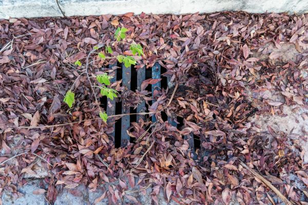 Yard Drain Unclogging in Holland