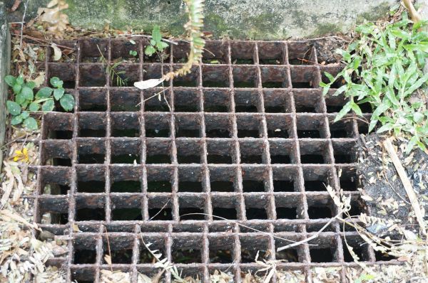 Cost of Yard Drain Cleaning in Holland
