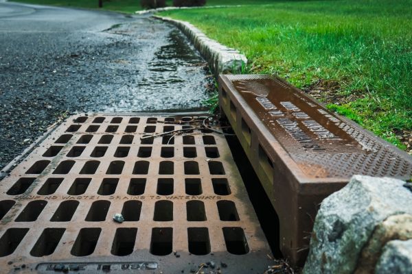 Cost of Storm Drain Repair in Holland