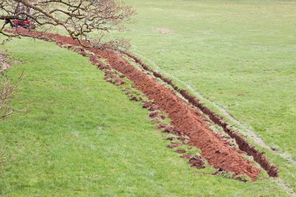 Cost of Swale Installation in Holland