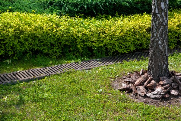 Residential Landscape Drainage in Holland