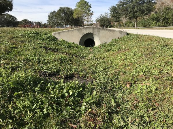 Cost of Swale Drainage Service in Holland